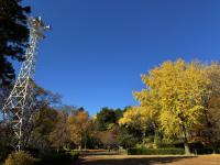 愛の鐘周辺の様子