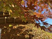 西櫓横階段付近