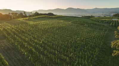 椀子ワイナリー