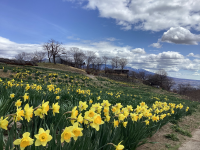 信州国際音楽村すいせん