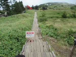 ササ刈り刈り取り例