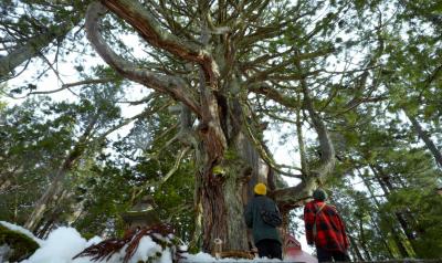 「それで十分」の作品画像