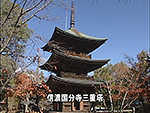 上田のお宝発見 信濃国分寺三重塔