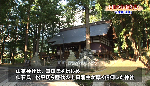 上田のお宝発見 山家神社社叢