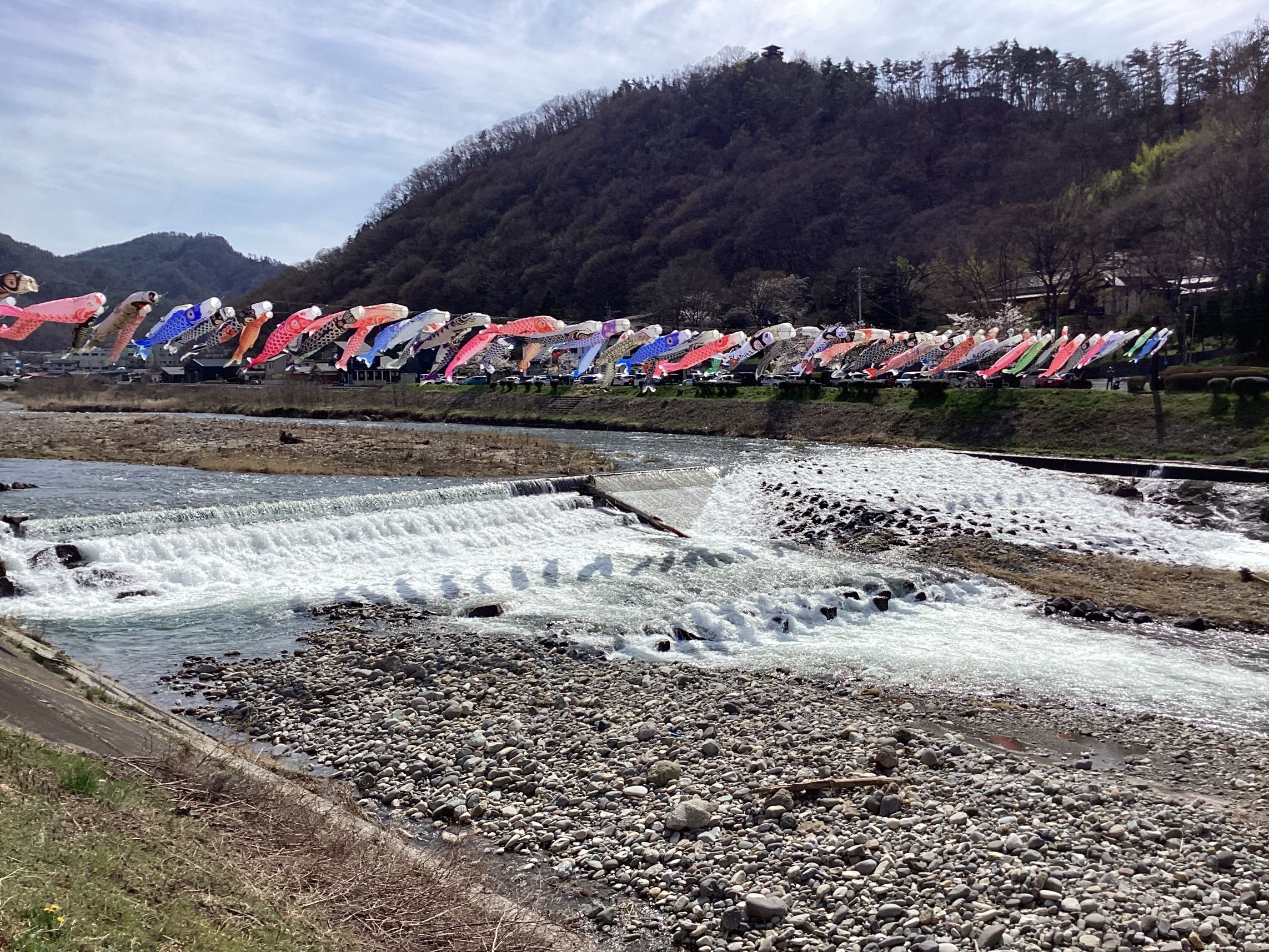 依田川の鯉のぼりの画像