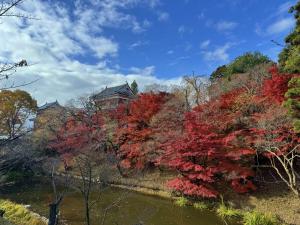 紅葉情報リンク