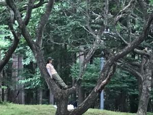 別所温泉森林公園