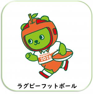 ラグビーフットボール