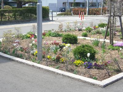 写真：平成25年4月28日　花のある風景 その2