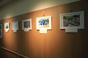 令和７年作品展示の様子