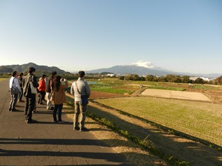 松毛川近くの森の画像