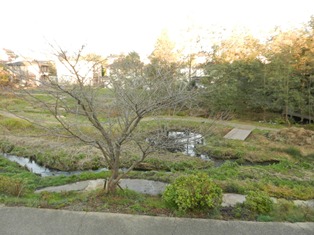 境川・清住緑地の画像