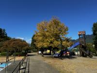 児童遊園地の様子