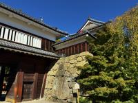 東虎口櫓門付近の様子