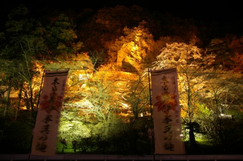 写真：ライトアップ全景