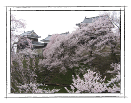 春の上田城