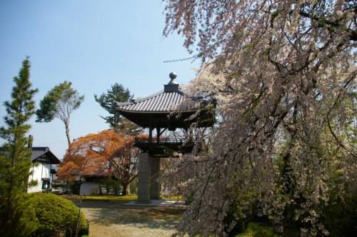 写真：宗龍寺3