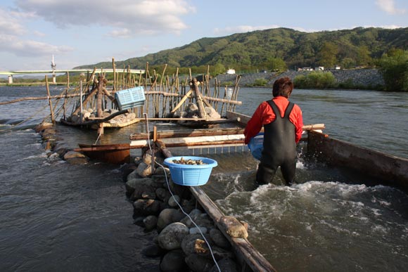 写真：つけば漁その4