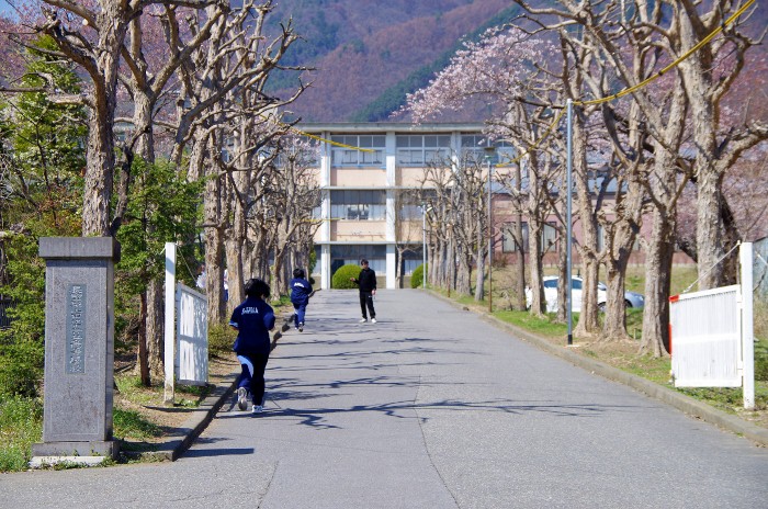 まどかが通う高校