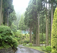 別所温泉森林公園