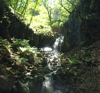 雨恋滝（横吹滝）の画像