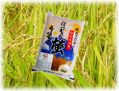 螢（ほたる。特別栽培米）の写真