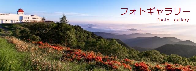 武石の郷フォトギャラリー：美ヶ原高原レンゲツツジと雲海