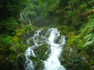 写真　武石地域　その3