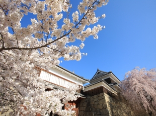 写真　上田地域　その1