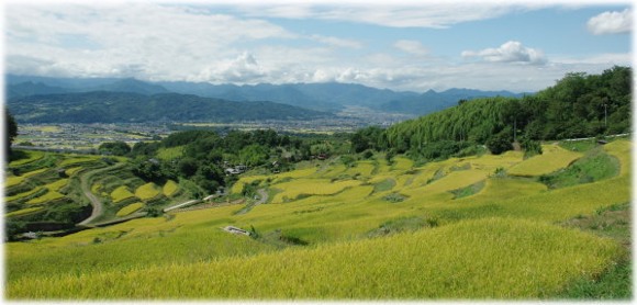 棚田写真