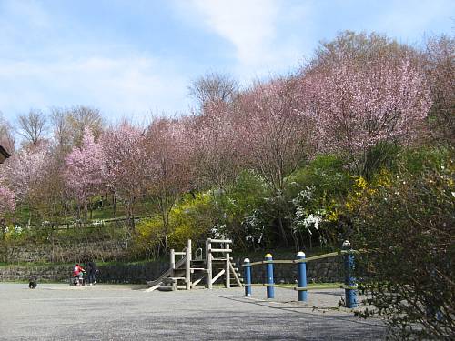 玄蕃山公園遊園地