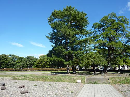 国分寺史跡公園