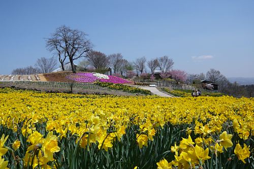 園路・花壇