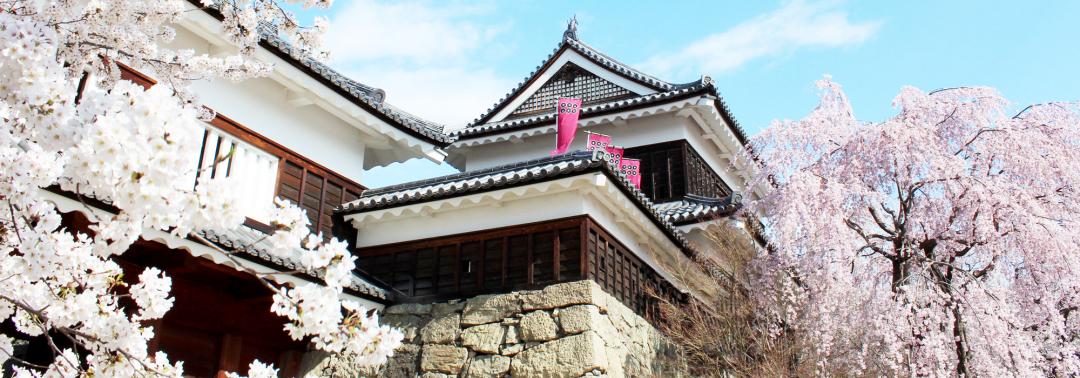 上田城外観の画像