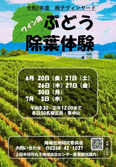 除葉体験 チラシ