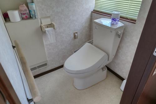 管理番号:4225(物件番号:UR-0165)のトイレ