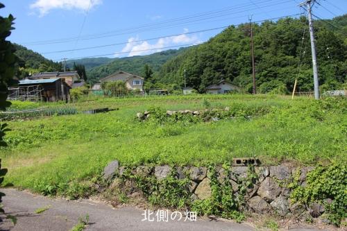 管理番号：4230（物件番号：UR-0182）の北側の畑