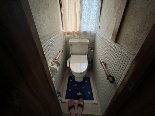 管理番号:1260(物件番号:UR-0190)のトイレ