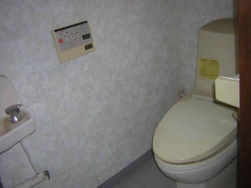 管理番号:4238(物件番号:UR-0197)のトイレ