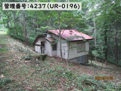 管理番号：4237（物件番号：UR-0196）の外観