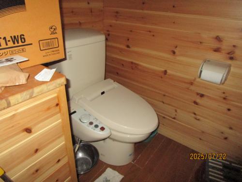 管理番号:4237(物件番号:UR-0196)のトイレ