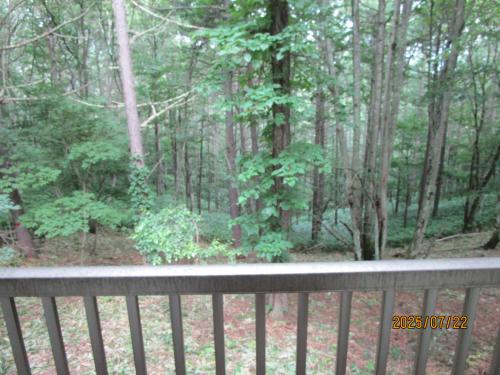 管理番号:4237(物件番号:UR-0196)の窓からの景色