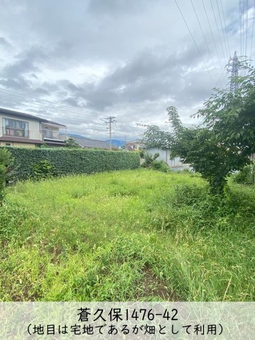 管理番号:1262(物件番号:UR-0193)畑
