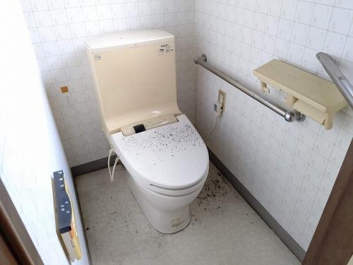 管理番号2269（UL-0257）トイレ