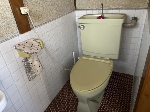 管理番号：1273（物件番号：UR-0209）のトイレ