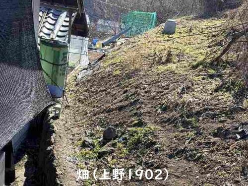 管理番号:1269(物件番号:UR-0205)畑