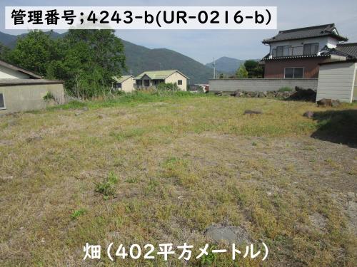 管理番号:4243(物件番号:UR-0216)の農地