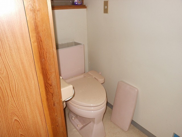 管理番号：1010（物件番号：UR-0010）のトイレ