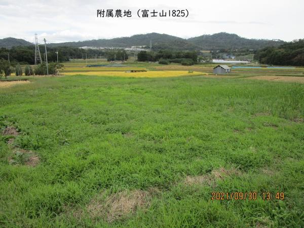 管理番号:2224(物件番号:UL-0161)の農地