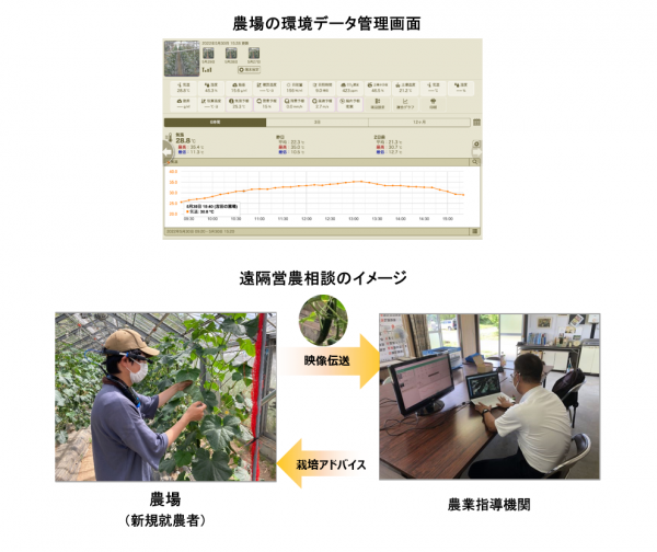 データ栽培管理、遠隔営農指導イメージ